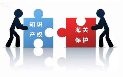 知識產權服務 專業護航創新的核心特點解析